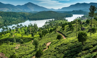 Immersion dans le Kerala, la terre des dieux