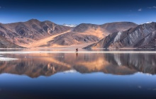 Changtang : Le lac de Tsokar (4500 m)