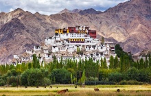 Vol pour Ladakh