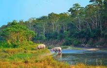 Rencontre avec les éléphants et les rhinos au parc national du Chitwan