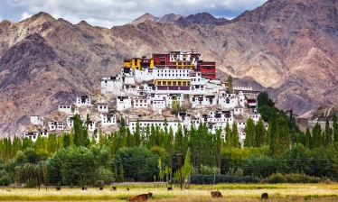 L'essentiel du Ladakh